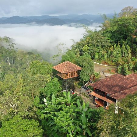 Spice Forest Plantation Homestay, Thekkady Vandiperiyār المظهر الخارجي الصورة