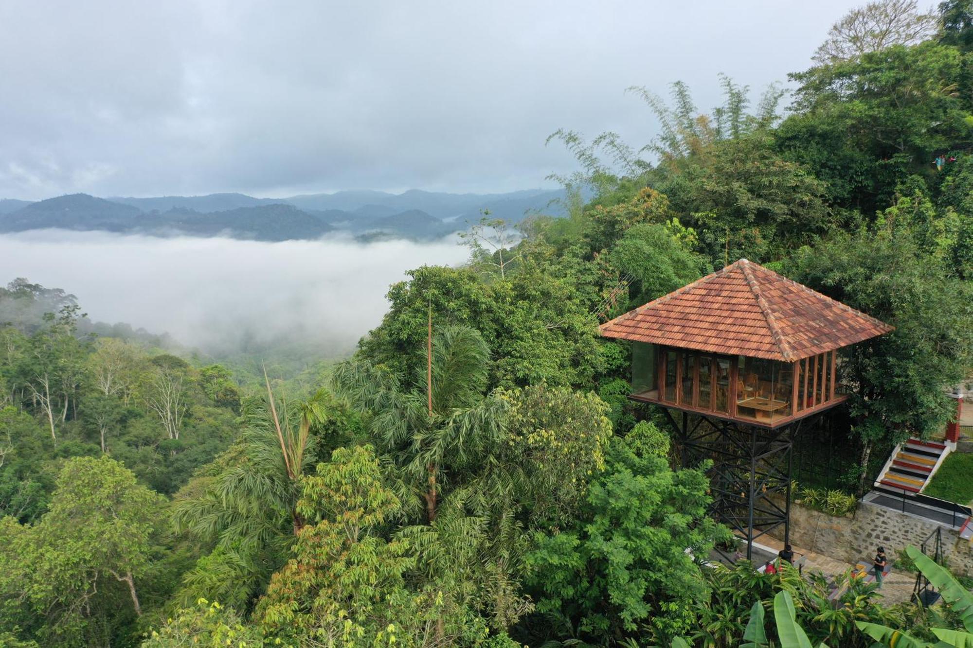 Spice Forest Plantation Homestay, Thekkady Vandiperiyār المظهر الخارجي الصورة