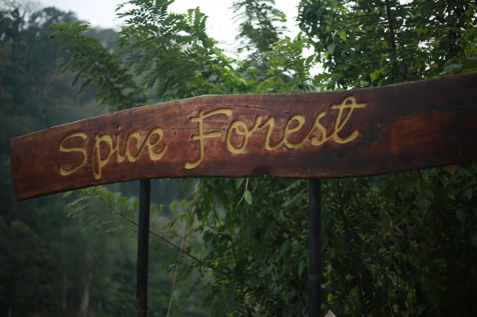 Spice Forest Plantation Homestay, Thekkady Vandiperiyār المظهر الخارجي الصورة